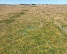 Rauch, Buenos Aires - 60 Ha
