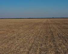 Santiago del Estero Bandera Fortin Inca 1.000 Has Agricolas