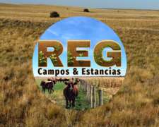 3700 Hectareas, el Durazno - la Pampa