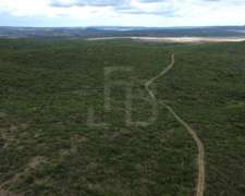 Campo Mixto en San Pedro Norte, Córdoba
