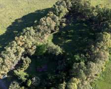 Campo en Venta 170 Hectáreas en Punta Indio