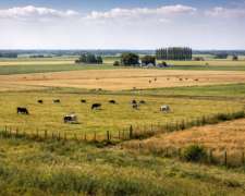 La Playosa 350has Mixtas EXC Renta 6qq a U$S 5800 REC Oferta