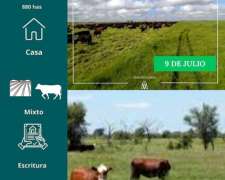 Campo 25 de Mayo 1090 Has