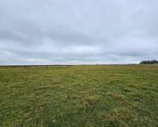 Campo Venta las Flores 180 Ha Ganadero