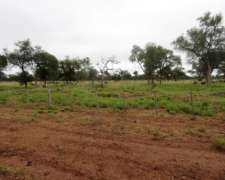 La Estrella - 2755 Ha - Salta