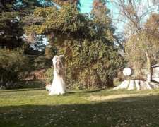 1.570 Ha Costa de Rio Negro Agricultura Bajo Riego