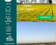 Campo en Castilla 263 Has