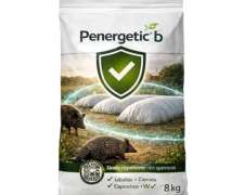 Penergetic B ZV y WV
