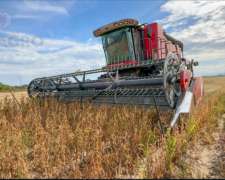 Draper Piersanti Flexible DF 1000