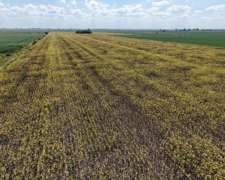 30 Has. Agricolas. Depto. San Jeronimo.