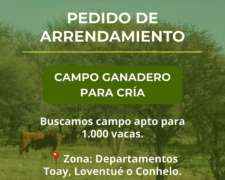 La Pampa - Pedidos de Campos para Arrendamientos Ganaderos