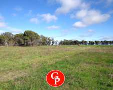En Venta 1250 Has, Anguil La Pampa.-
