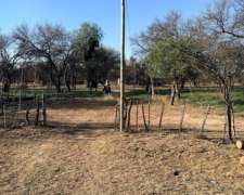 Campo Ganadero En Ayacucho, San Luis