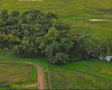 Campo Venta Olavarria 878 Ha Ganaderas