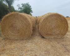 Vendo Rollos de Paja de Trigo