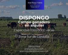 Campo Ganadero en Alquiler SUR de Cordoba