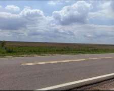Alquilo Campo en Provincia de Santa FÉ