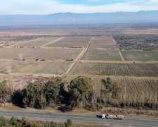 Finca De 59ha En Ruta N° 40 Capdevilla Derecho De Riego