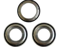 Kit Rodamientos Maza Tolva Ascanelli 20-33 Tn Magnum+