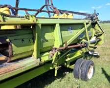 Maicero Allioschis 18 a 42