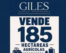 Campo 185 Hectáreas Agricolas Rueda ( Santa FE)