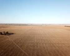 Venta 50 Has Agrícolas Rio Cuarto