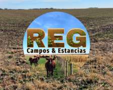 420 Has - Doblas, L.p.