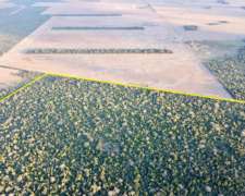 233 Has en Venta - Pcia del Chaco, Saenz Peña