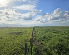 Campo Mixto Venta Chascomus 500 Ha