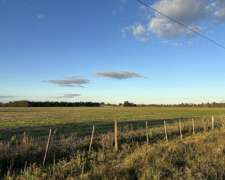 Campo de 20 Has Agrícolas en San Pedro, Asfalto y Luz.