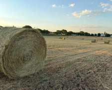 Rollos de Moha de 600 KG.