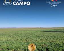 Vende: Campo Agrícola/ganadero de 169 Has en General Campos.