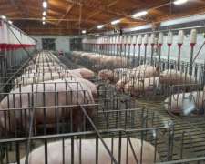 Estoy Disponible Busco Trabajar