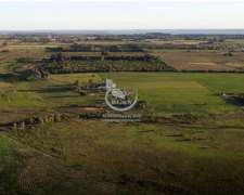 Financiado - Uruguay - Campo en Venta en Carmelo