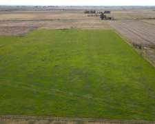 10 Hectáreas Agrícolas a 500 Metros de Ruta, Gualeguaychú.
