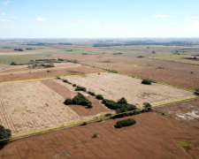 55 Has Campo Agrícola con Tapera y Arboleda