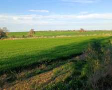 Victoria, Entre Rios - 46 Ha