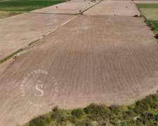 Venta Campo. Tambo/agricultura. Santa María Centro, Santa Fe