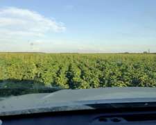 840 Has Norte de STA FE