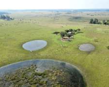 8 Hectáreas en Colonia Tatacua - Oportunidad Única