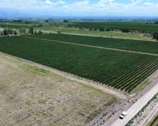 Finca Villa Seca 23.8ha Con Malbec Y Sup Para Chacra
