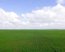 Pcia. de Salta - las Lajitas 8005 Has