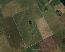 133 Has Campo Mixto Agrícola Ganadero en Lobería