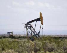 Campo 52.000 Ha Catriel Rio Negro Zona Petrolera