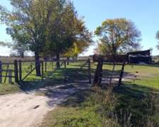 Campo 74 Ha – Pilar, Santa FE – Apto Tambo y Ganadería