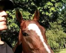 Jibusco Trabajo de Casero Peón General