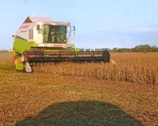 Cosechadora Claas Medion 310 . año 2008