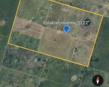 Campo de 605 Has Nueva Italia. las Avispas.