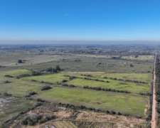 Pcia. de Buenos Aires - Marcos PAZ 185 Has