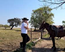 Campo para Búfalos o Ganado Vacuno en Concepcion Corrientes